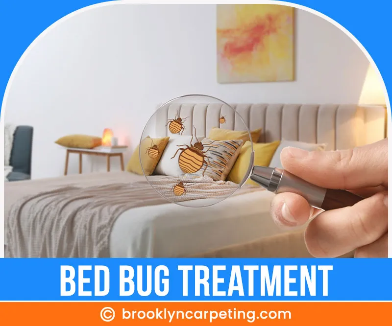 carpet cleaning in brooklyn, carpet cleaning in new york, carpet cleaning brooklyn, carpet cleaners in brooklyn, carpet cleaners in new york, commercial carpet cleaning, commercial carpet cleaning in brooklyn, brooklyn rug cleaners, rug cleaning services in brooklyn, same day carpet cleaning, same day rug cleaning